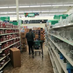 Dollar Tree ico
