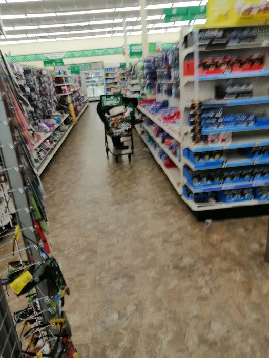 Dollar Tree 6