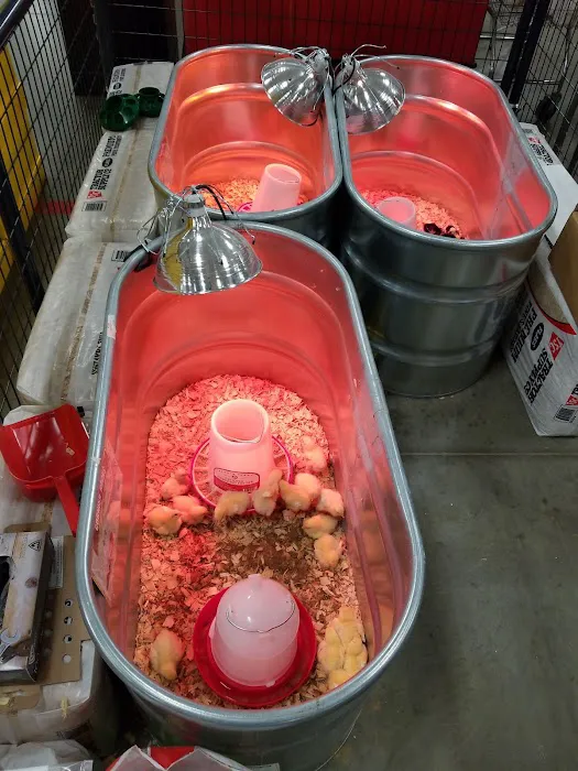 Tractor Supply Co. 8