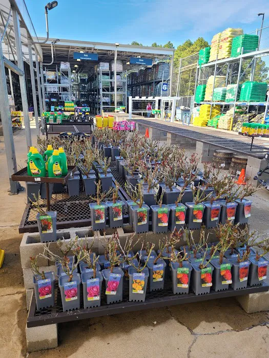 Lowe's Home Improvement 1