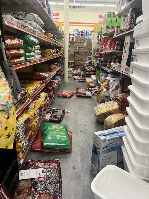 Family Dollar 5