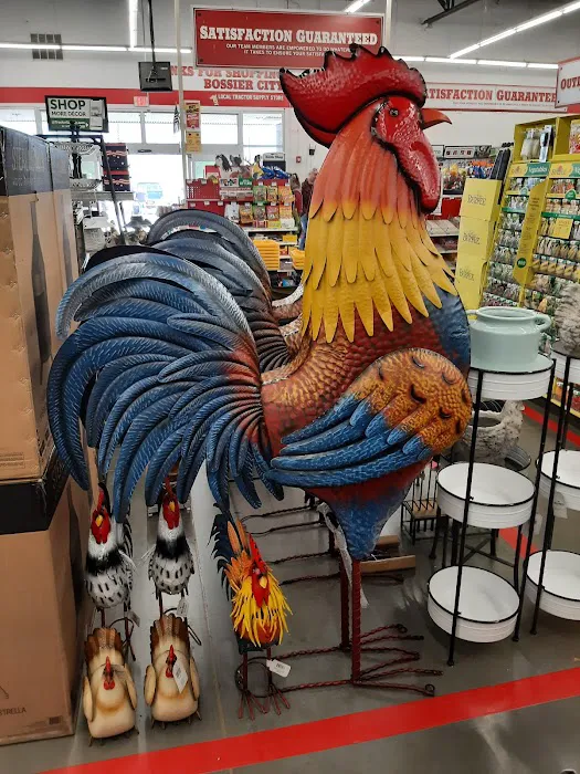 Tractor Supply Co. 2