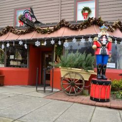 R Bloom's of Lake Oswego ico