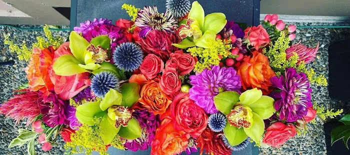 R Bloom's of Lake Oswego 7