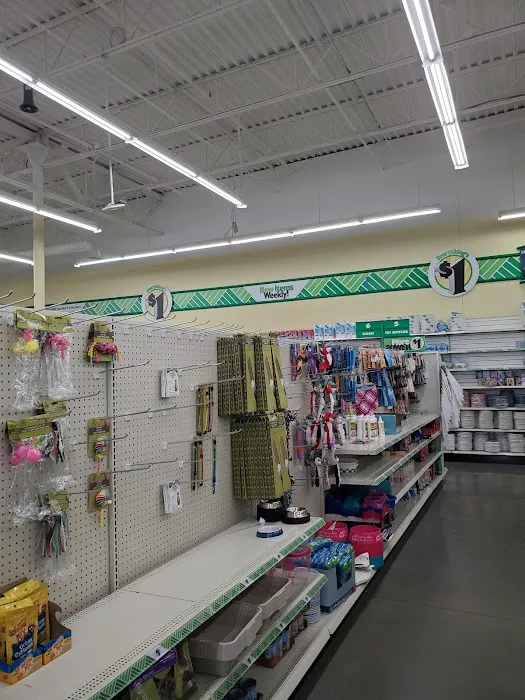 Dollar Tree 6