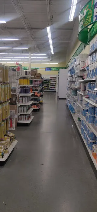 Dollar Tree 8
