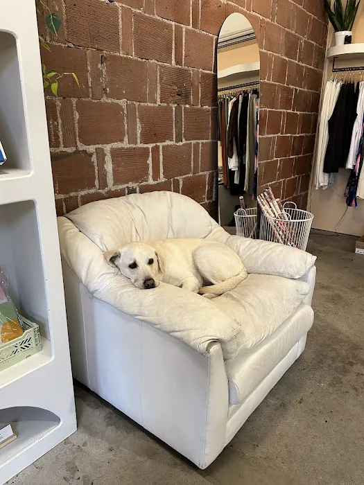 Wild Cactus Boutique 3