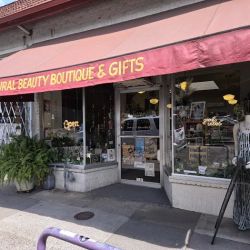 Sunnyside Mercantile PDX ico