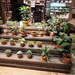 MUJI Portland ico