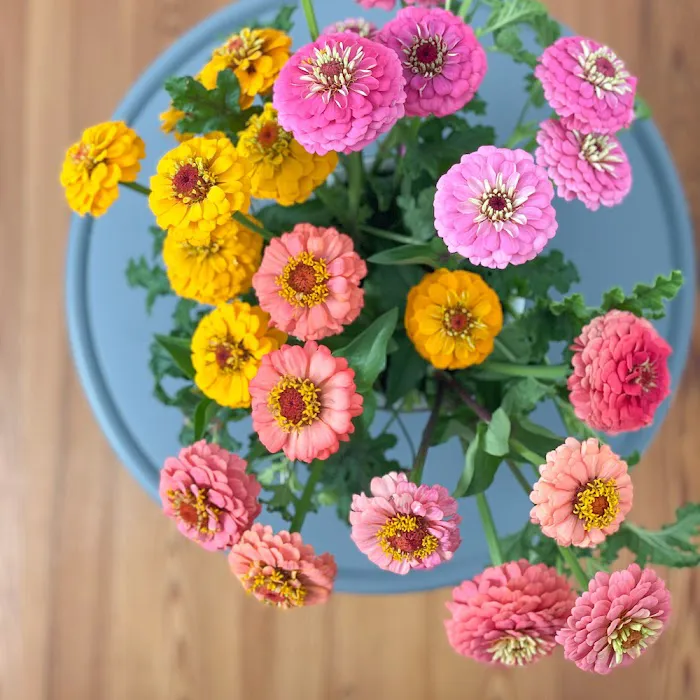 Sellwood Flower Company 2