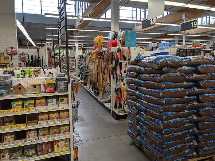 Pearl ACE Hardware 4