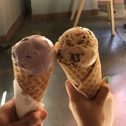 Salt & Straw ico