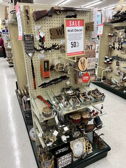 Hobby Lobby 6