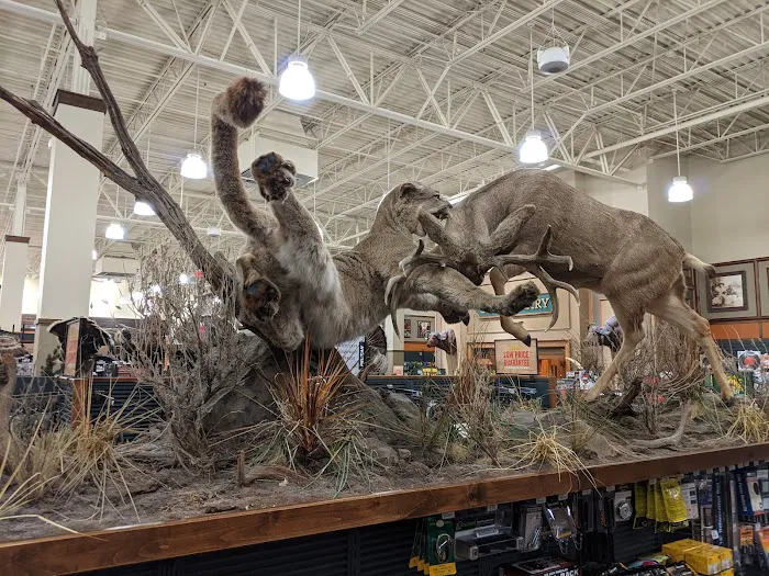 Bass Pro Shops 0