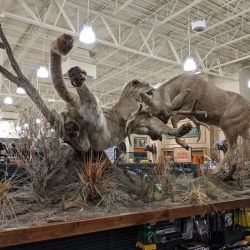 Bass Pro Shops ico