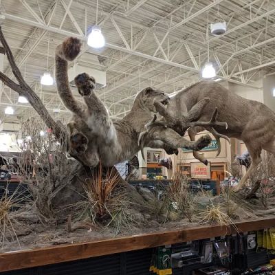 Bass Pro Shops
