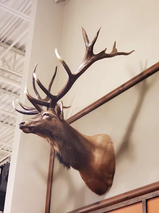 Bass Pro Shops 7