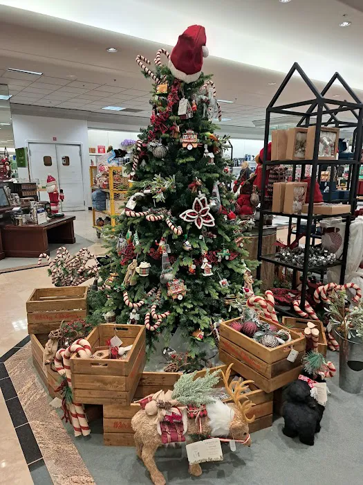 Dillard's 3