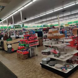 Dollar Tree ico