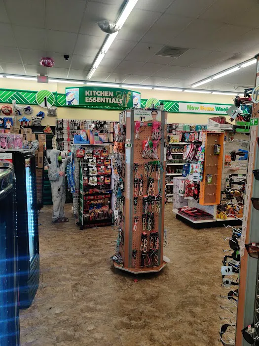 Dollar Tree 6