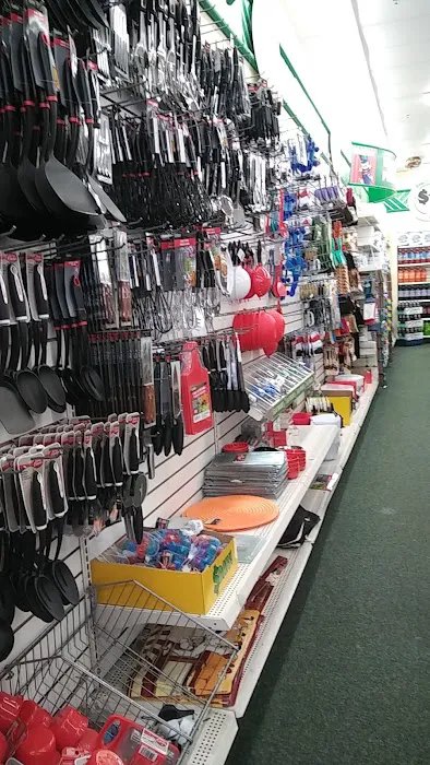 Dollar Tree 9