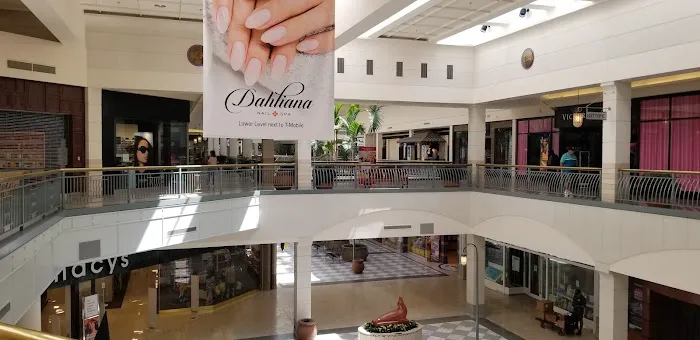 Macy's 6