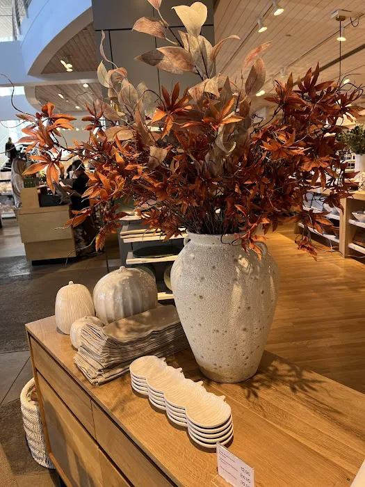 Crate & Barrel 8