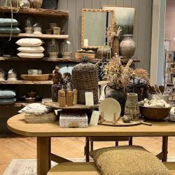 Anthropologie ico