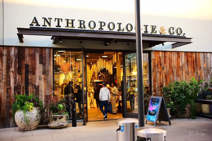 Anthropologie 2