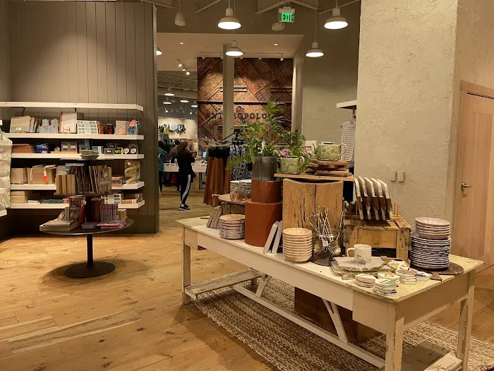 Anthropologie 3