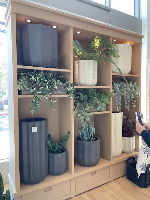 Pottery Barn 1
