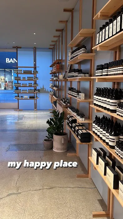Aesop Stanford 2