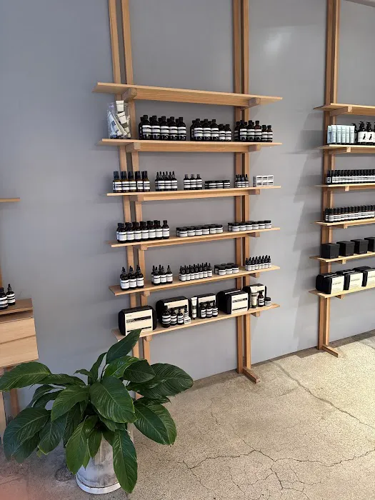 Aesop Stanford 3