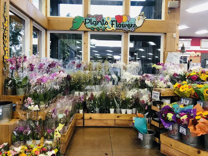 Trader Joe's 6