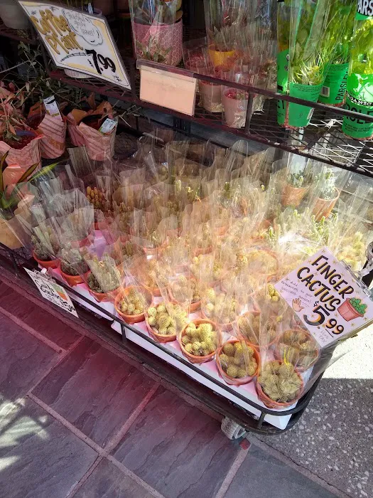 Trader Joe's 2