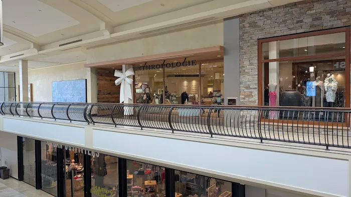 Anthropologie 1