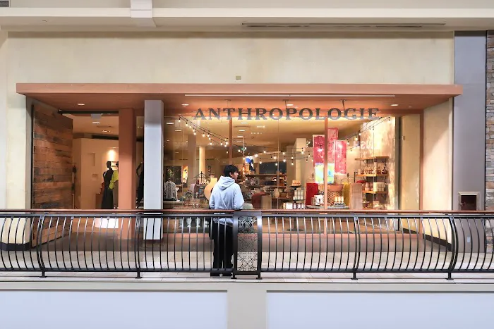 Anthropologie 2