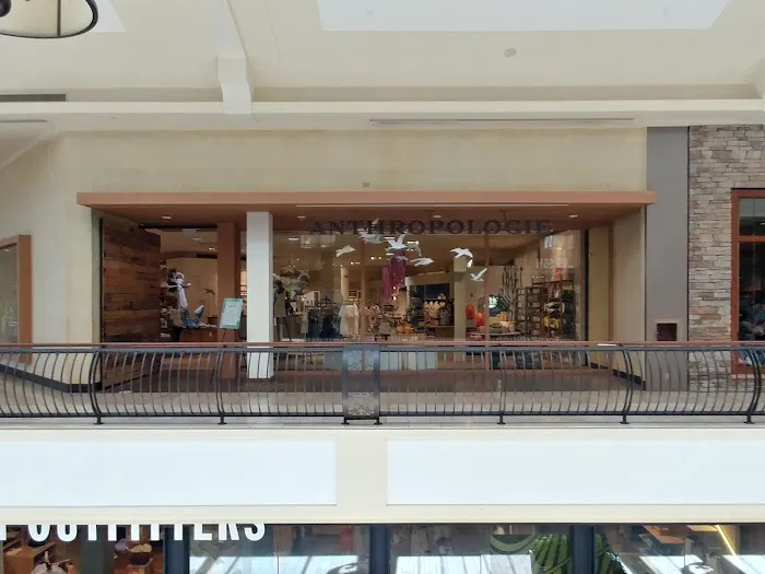 Anthropologie 4