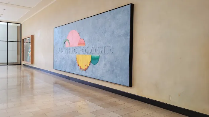Anthropologie 3