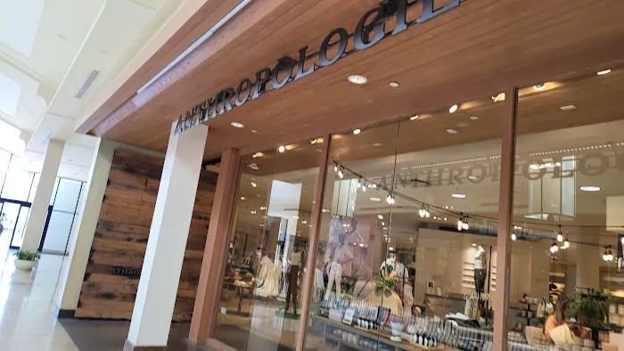 Anthropologie 5
