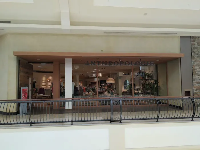 Anthropologie 6