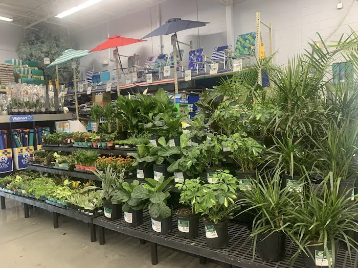 Walmart 5