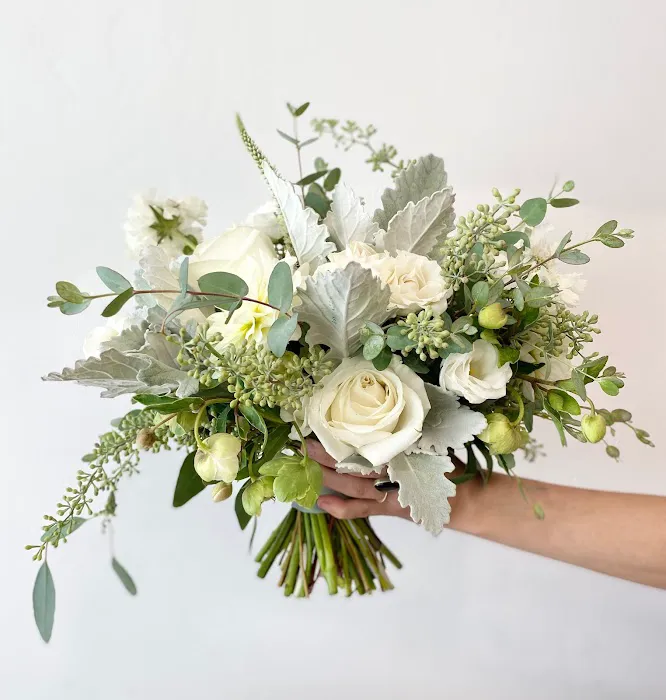 Wildflower 4