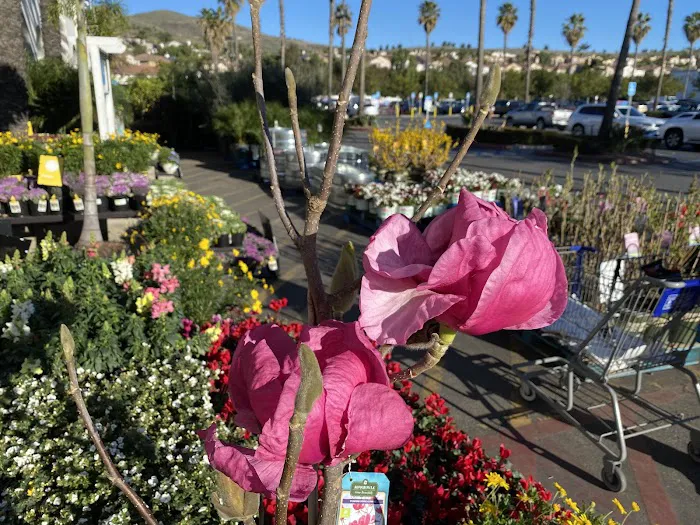 Lowe's Garden Center 2