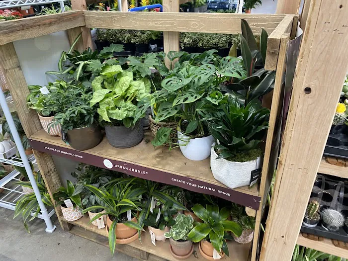 Lowe's Garden Center 3