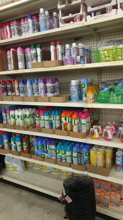 Dollar Tree 8