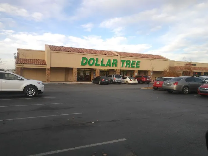 Dollar Tree 6