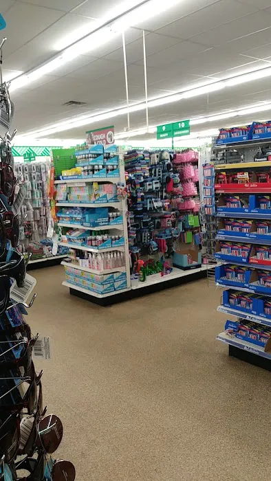 Dollar Tree 3