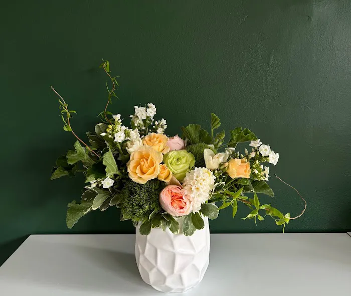 The Vine Floral Studio 0