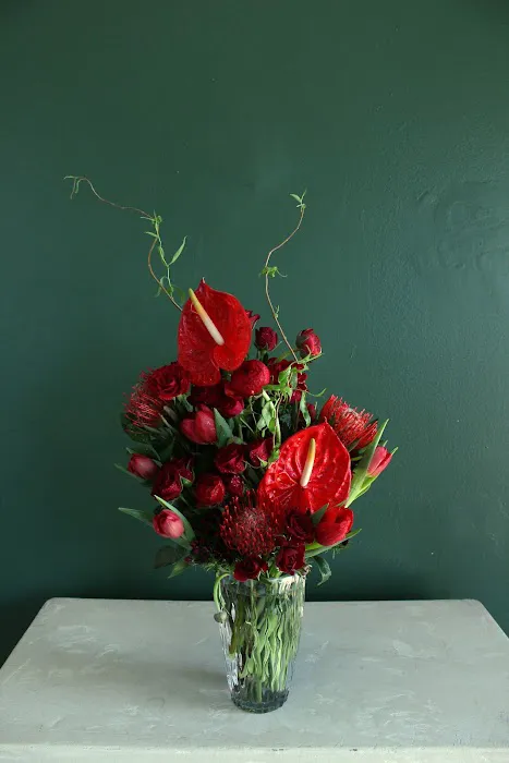 The Vine Floral Studio 7